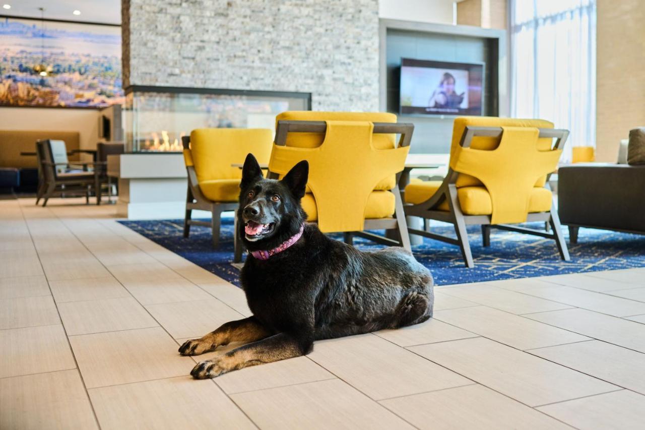 Residence Inn By Marriott バークレー エクステリア 写真